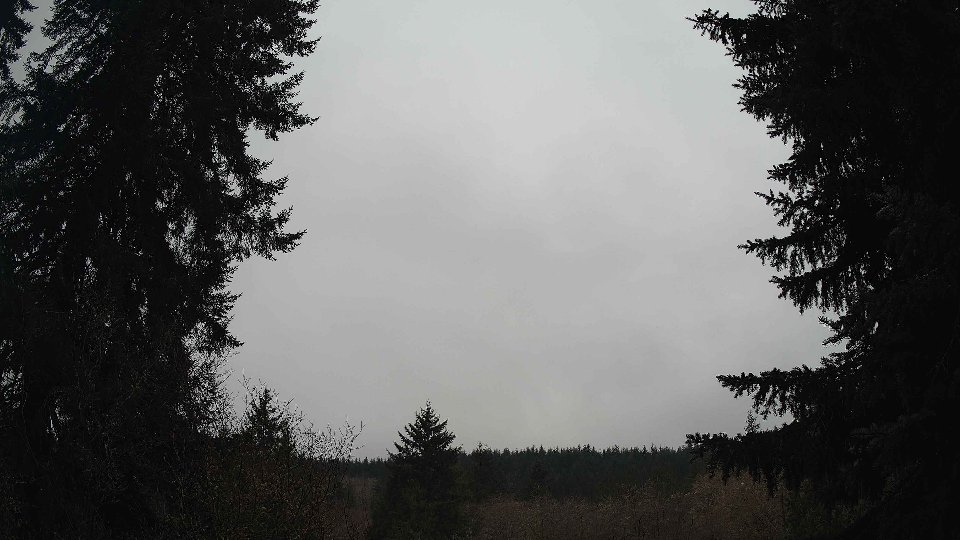 Pacific Northwest skyline timelapse frame from Jan 14th, 2026 at 1:00 PM