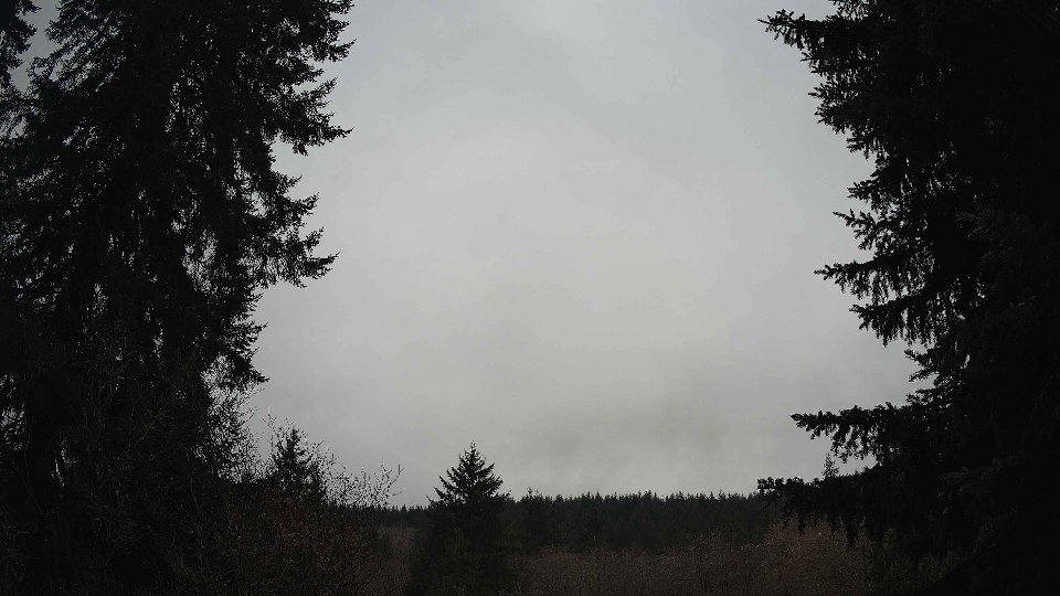 Pacific Northwest skyline timelapse frame from Jan 14th, 2026 at 1:15 PM