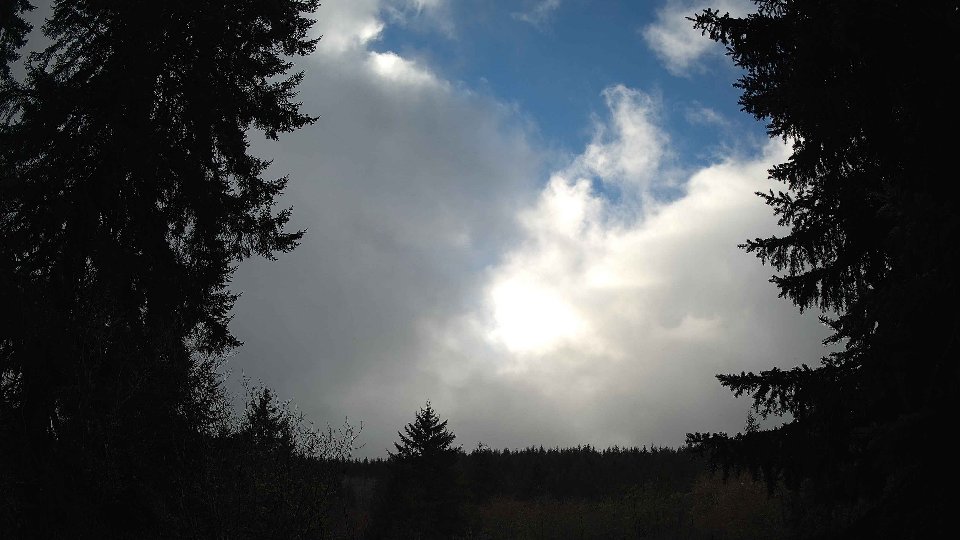 Pacific Northwest skyline timelapse frame from Jan 14th, 2026 at 1:30 PM