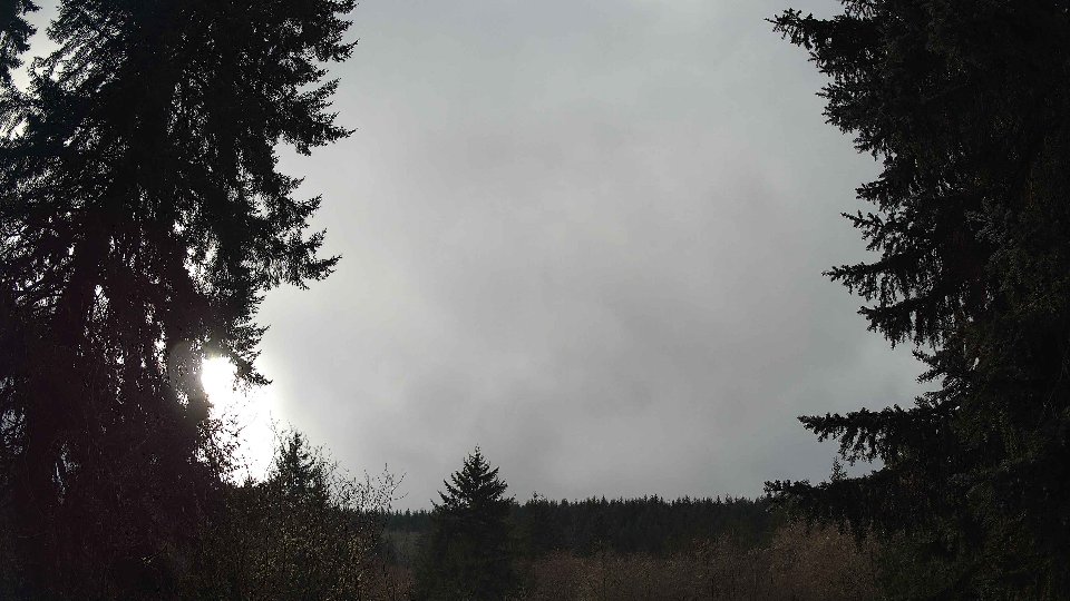 Pacific Northwest skyline timelapse frame from Jan 14th, 2026 at 1:45 PM