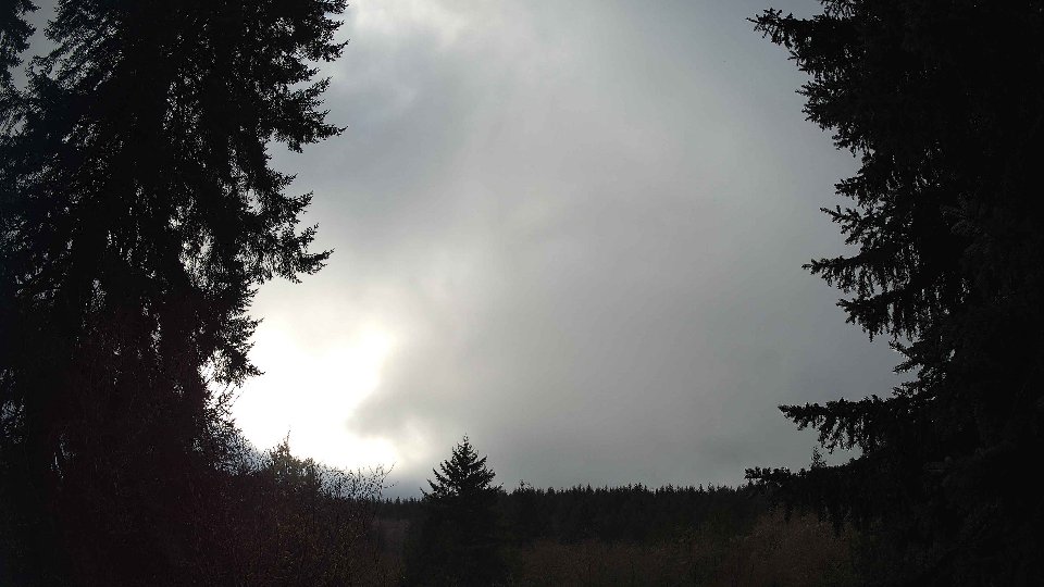 Pacific Northwest skyline timelapse frame from Jan 14th, 2026 at 2:30 PM