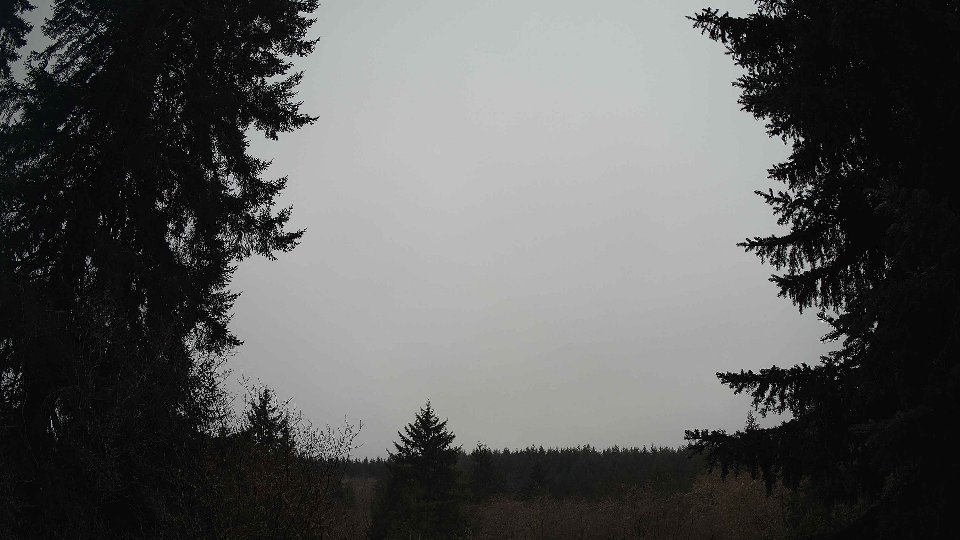 Pacific Northwest skyline timelapse frame from Jan 14th, 2026 at 3:45 PM