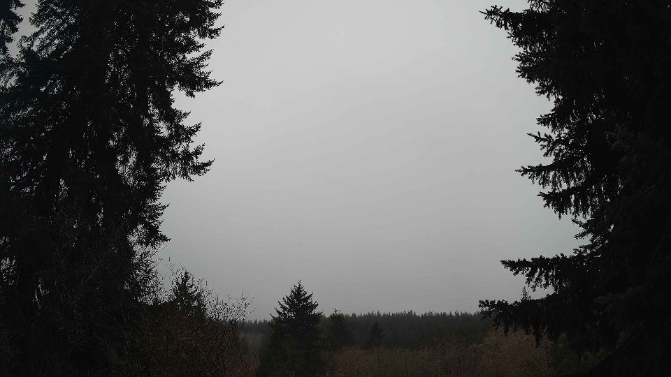 Pacific Northwest skyline timelapse frame from Jan 14th, 2026 at 4:00 PM