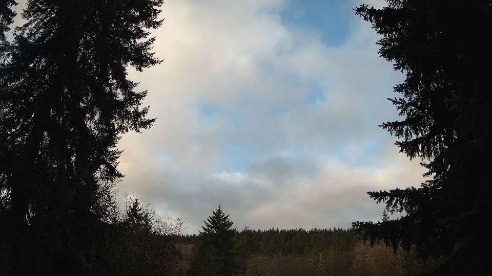 Pacific Northwest skyline timelapse frame from Jan 15th, 2026 at 9:00 AM