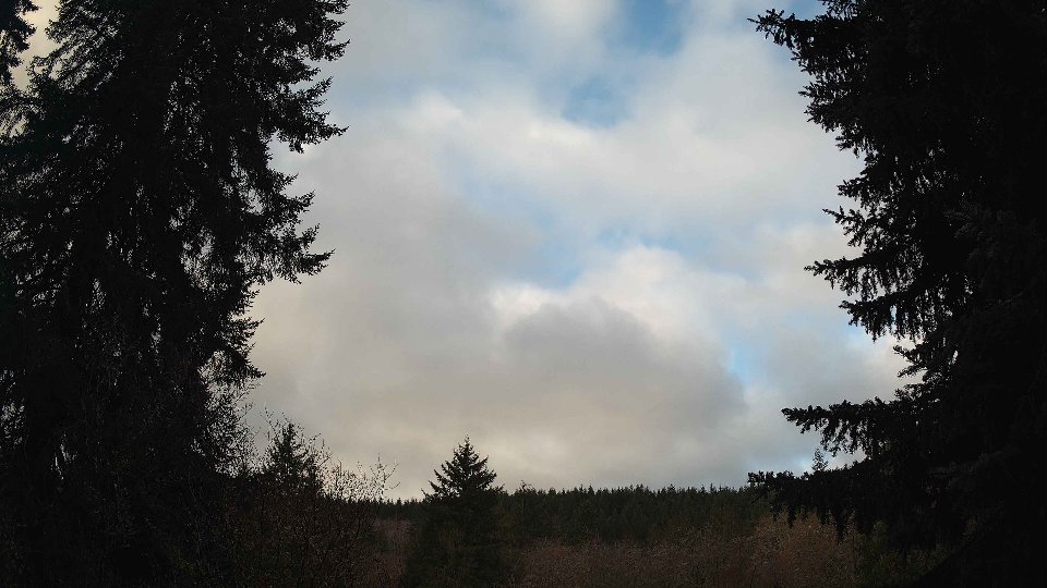 Pacific Northwest skyline timelapse frame from Jan 15th, 2026 at 9:15 AM