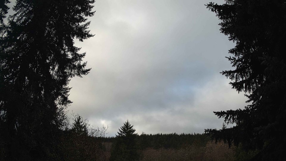 Pacific Northwest skyline timelapse frame from Jan 15th, 2026 at 9:30 AM