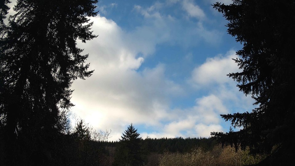 Pacific Northwest skyline timelapse frame from Jan 15th, 2026 at 10:00 AM