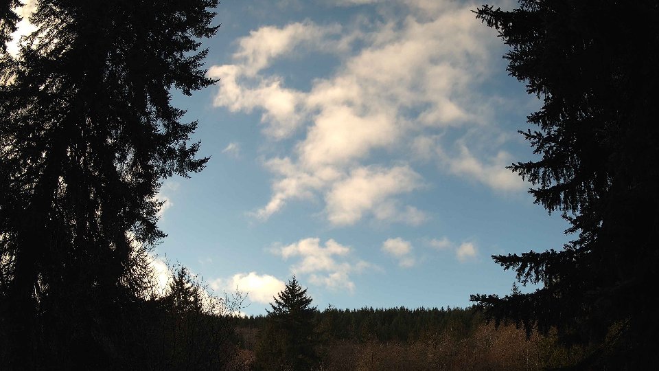 Pacific Northwest skyline timelapse frame from Jan 15th, 2026 at 10:30 AM