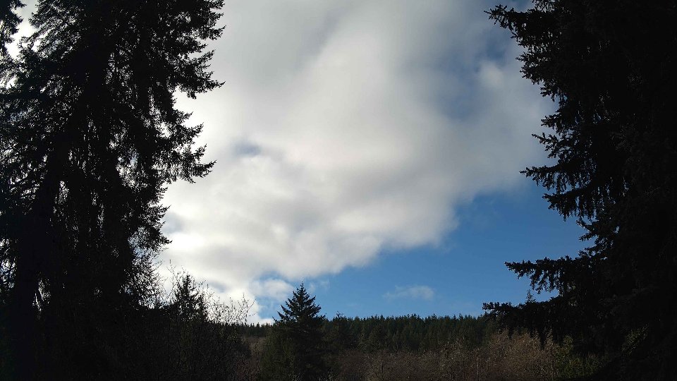 Pacific Northwest skyline timelapse frame from Jan 15th, 2026 at 10:45 AM