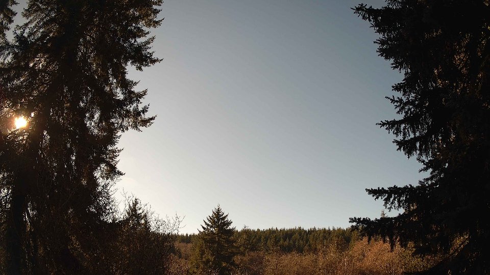 Pacific Northwest skyline timelapse frame from Jan 15th, 2026 at 12:00 PM