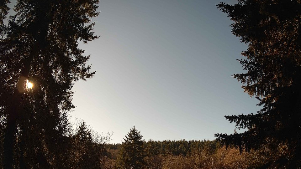 Pacific Northwest skyline timelapse frame from Jan 15th, 2026 at 12:30 PM