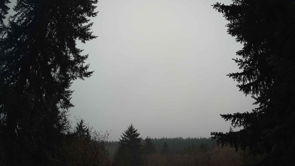 Pacific Northwest skyline timelapse frame from Jan 16th, 2026 at 8:00 AM