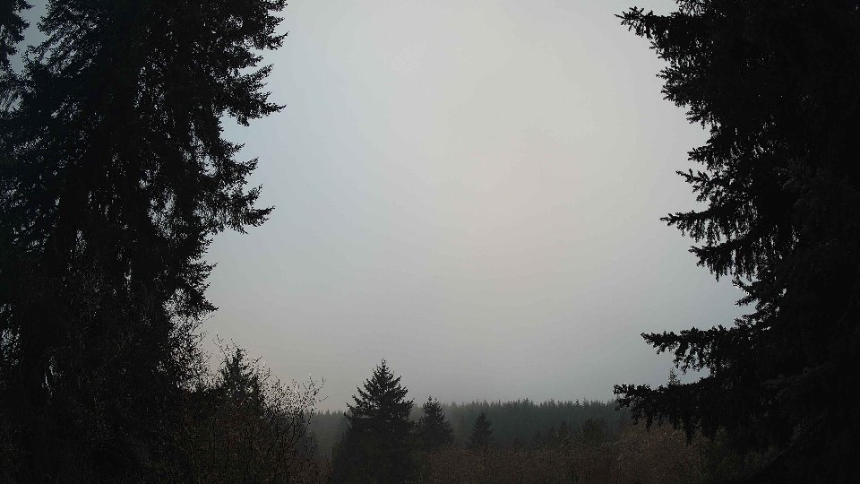 Pacific Northwest skyline timelapse frame from Jan 16th, 2026 at 8:30 AM