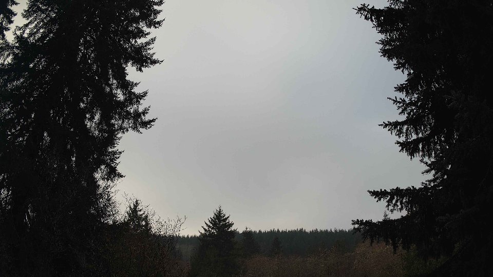 Pacific Northwest skyline timelapse frame from Jan 16th, 2026 at 10:00 AM