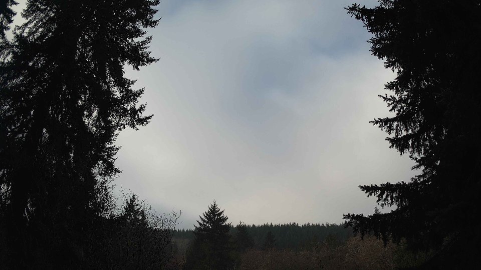 Pacific Northwest skyline timelapse frame from Jan 16th, 2026 at 10:15 AM