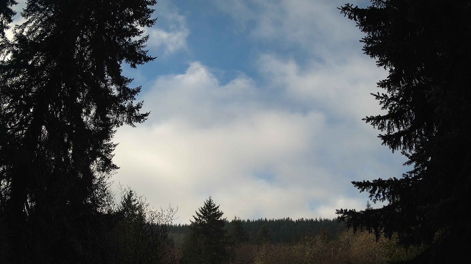 Pacific Northwest skyline timelapse frame from Jan 16th, 2026 at 10:30 AM