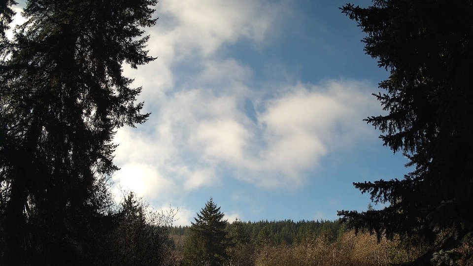 Pacific Northwest skyline timelapse frame from Jan 16th, 2026 at 10:45 AM