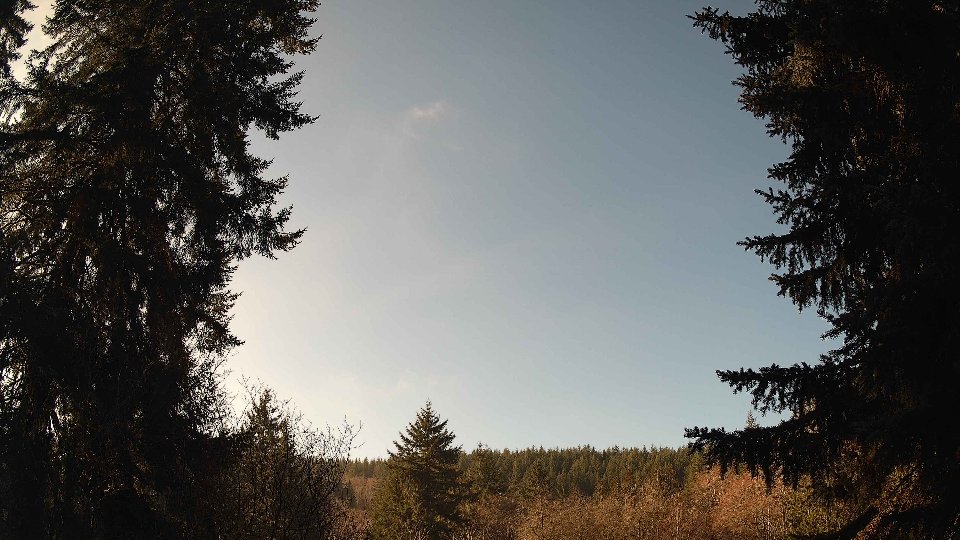 Pacific Northwest skyline timelapse frame from Jan 16th, 2026 at 11:00 AM