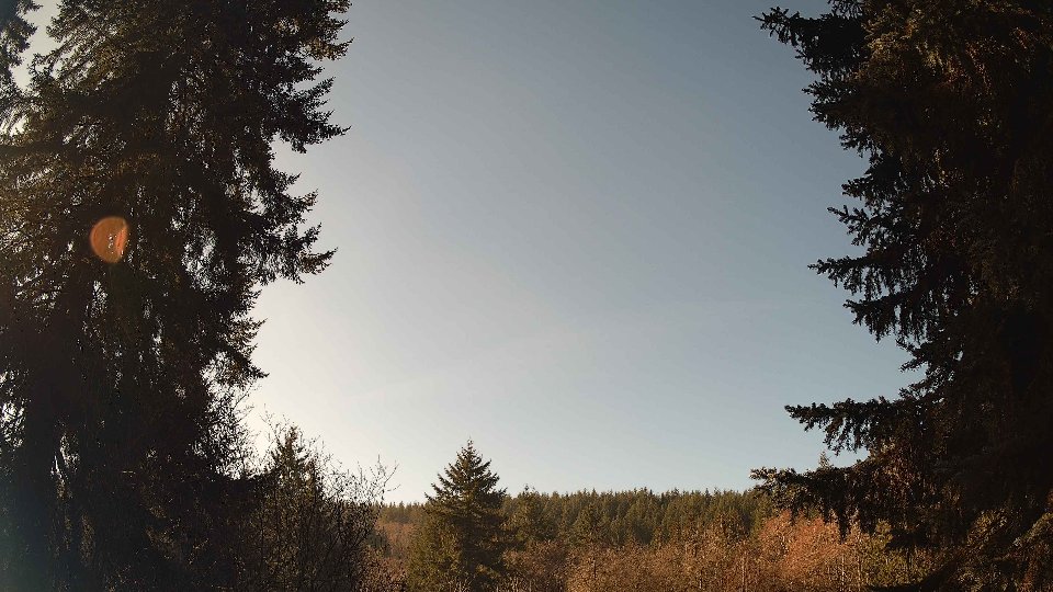 Pacific Northwest skyline timelapse frame from Jan 16th, 2026 at 11:15 AM