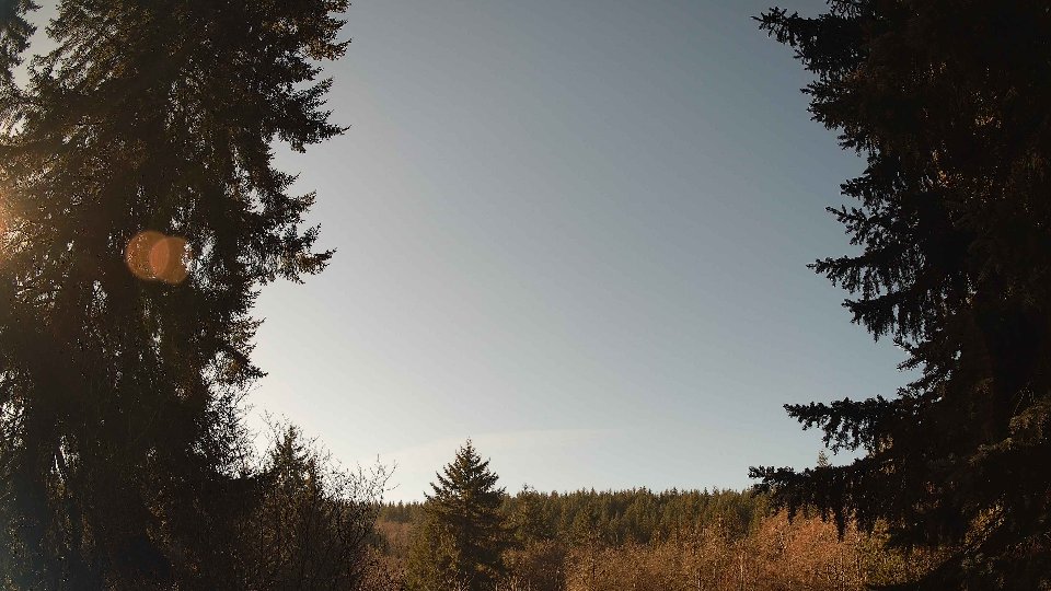 Pacific Northwest skyline timelapse frame from Jan 16th, 2026 at 11:45 AM