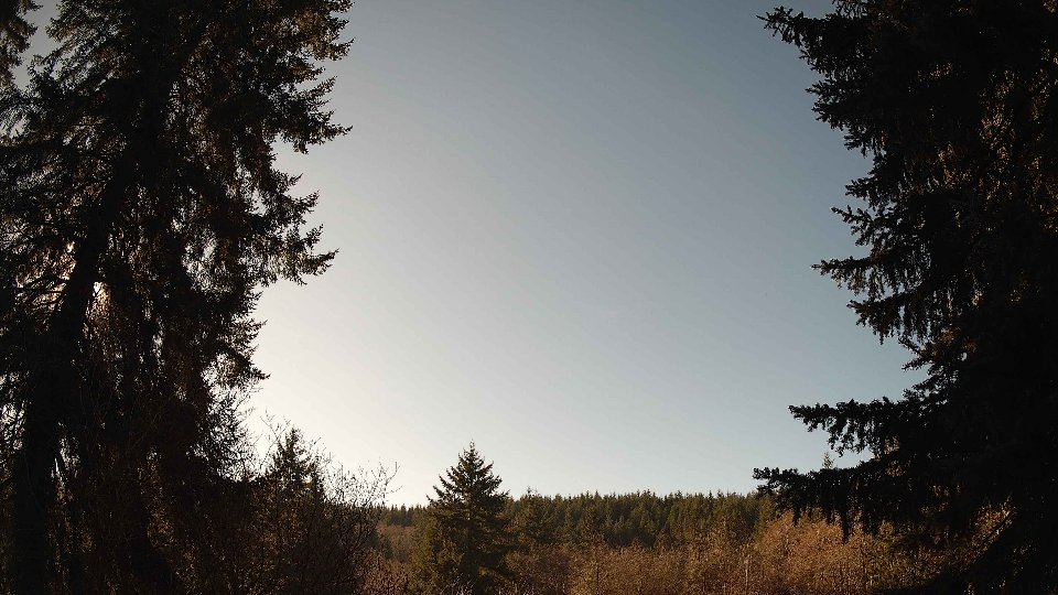 Pacific Northwest skyline timelapse frame from Jan 16th, 2026 at 12:45 PM