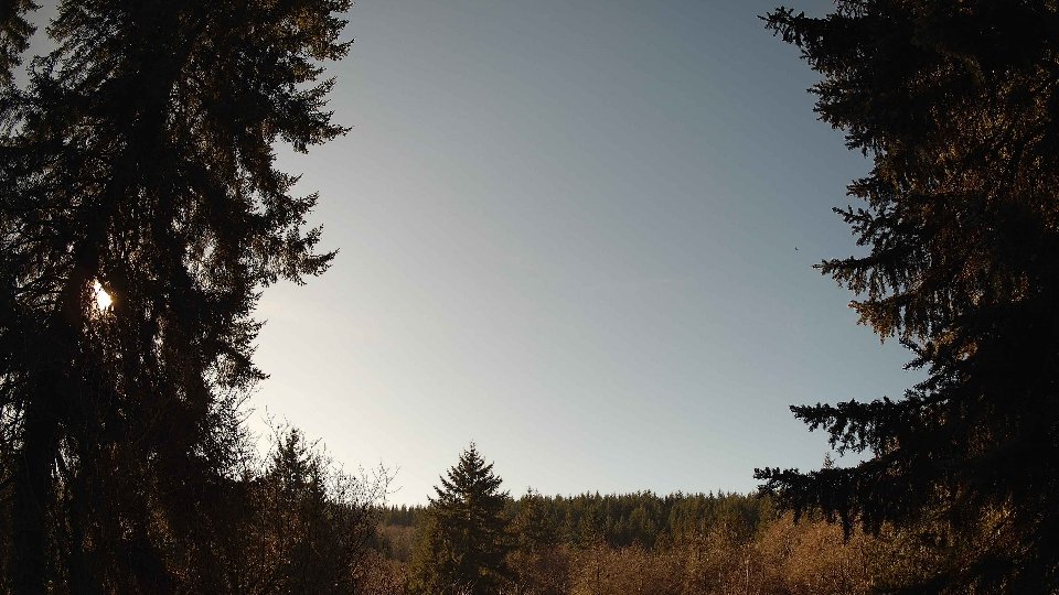 Pacific Northwest skyline timelapse frame from Jan 16th, 2026 at 1:00 PM
