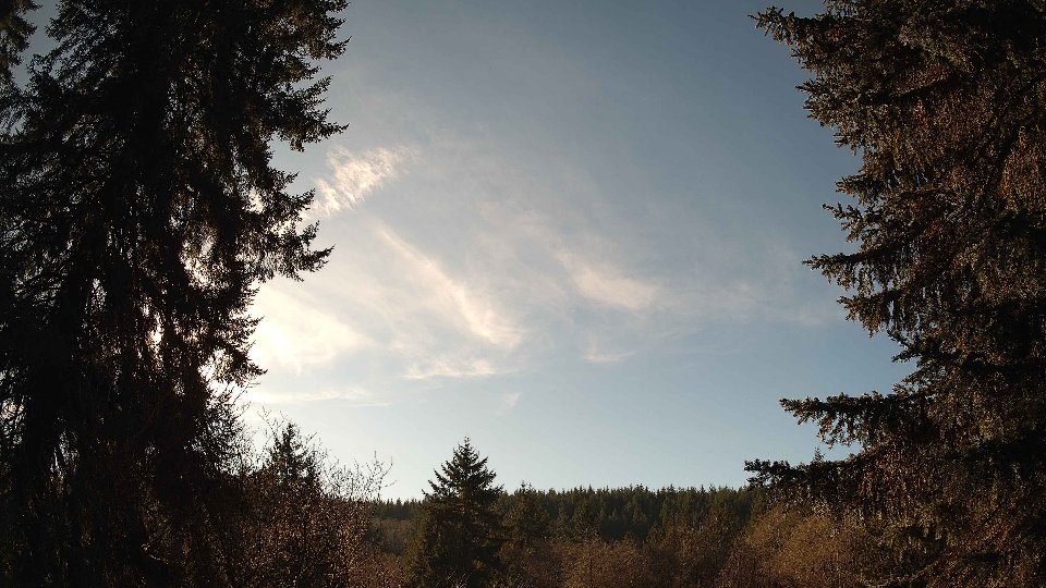 Pacific Northwest skyline timelapse frame from Jan 16th, 2026 at 1:30 PM