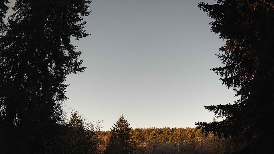 Pacific Northwest skyline timelapse frame from Jan 17th, 2026 at 8:45 AM