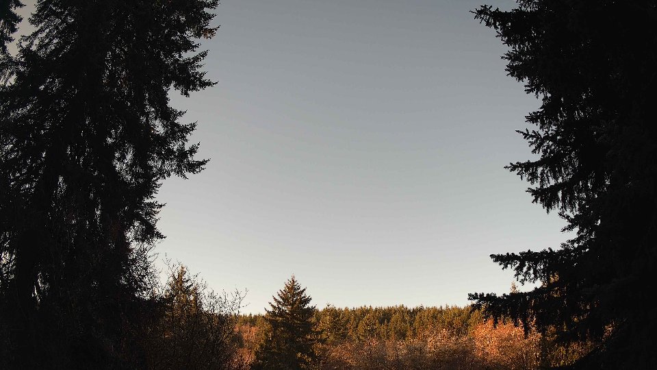 Pacific Northwest skyline timelapse frame from Jan 17th, 2026 at 9:15 AM