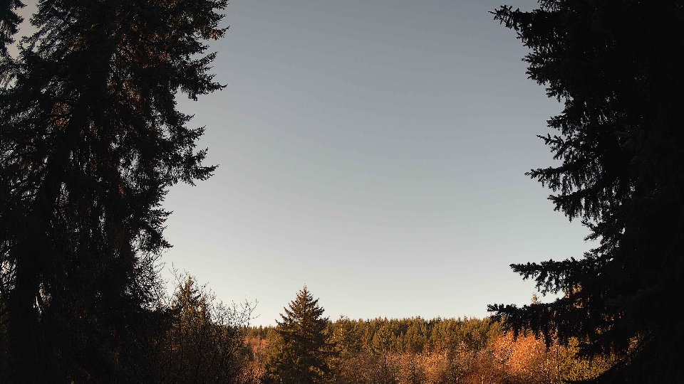 Pacific Northwest skyline timelapse frame from Jan 17th, 2026 at 9:30 AM