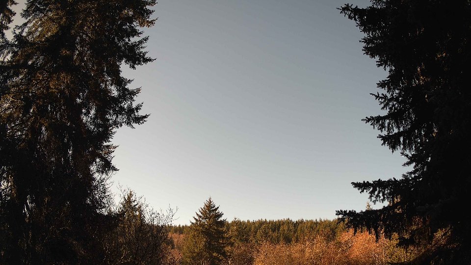 Pacific Northwest skyline timelapse frame from Jan 17th, 2026 at 10:30 AM