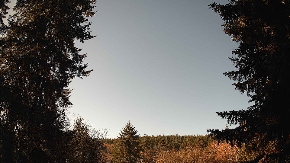 Pacific Northwest skyline timelapse frame from Jan 17th, 2026 at 11:00 AM