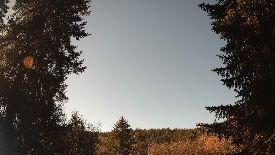 Pacific Northwest skyline timelapse frame from Jan 17th, 2026 at 11:15 AM