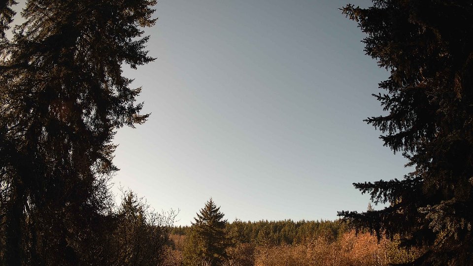 Pacific Northwest skyline timelapse frame from Jan 17th, 2026 at 11:30 AM