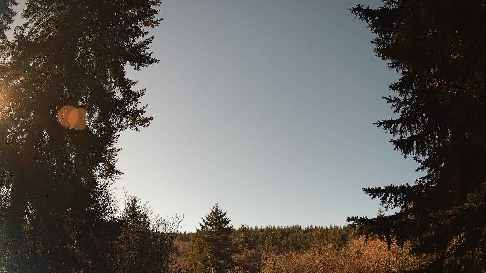 Pacific Northwest skyline timelapse frame from Jan 17th, 2026 at 11:45 AM