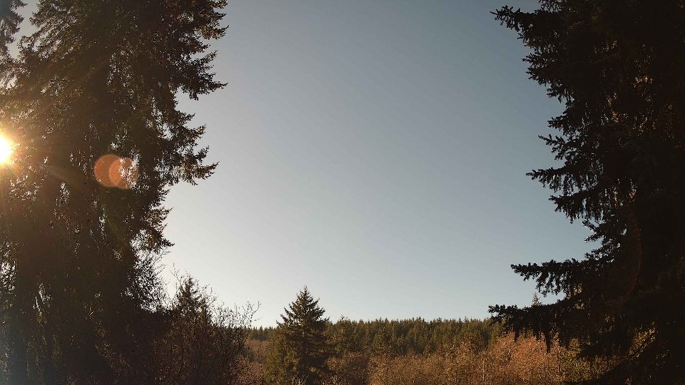 Pacific Northwest skyline timelapse frame from Jan 17th, 2026 at 12:00 PM