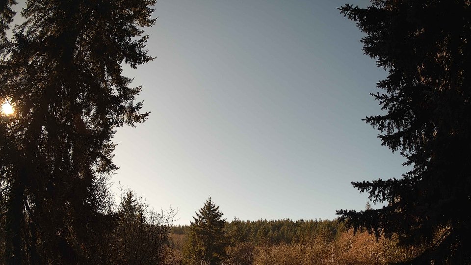 Pacific Northwest skyline timelapse frame from Jan 17th, 2026 at 12:15 PM