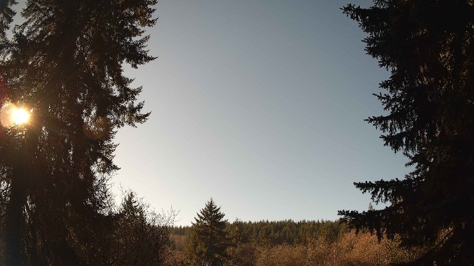 Pacific Northwest skyline timelapse frame from Jan 17th, 2026 at 12:30 PM
