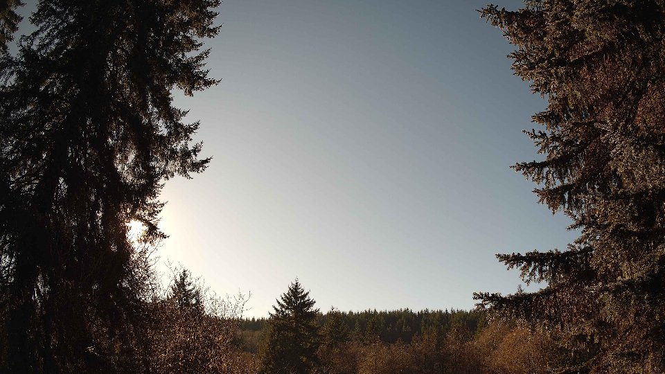 Pacific Northwest skyline timelapse frame from Jan 17th, 2026 at 1:45 PM