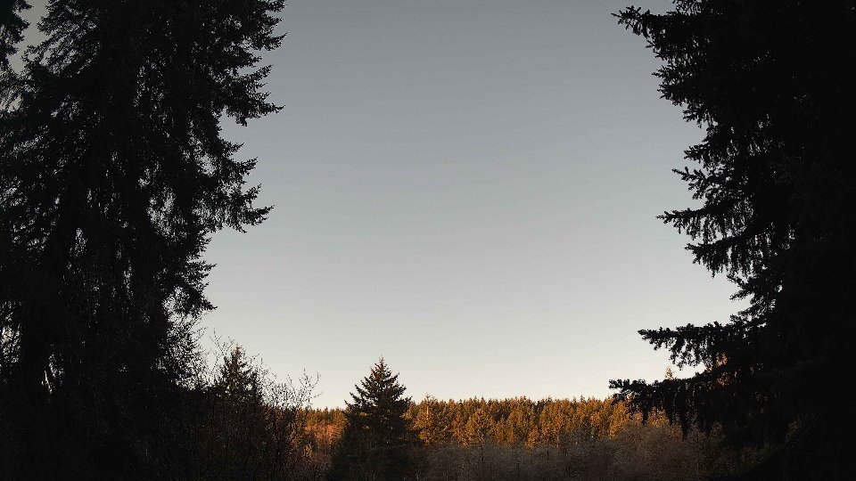 Pacific Northwest skyline timelapse frame from Jan 18th, 2026 at 8:30 AM