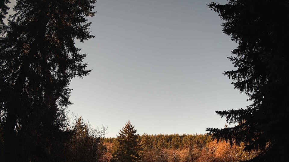 Pacific Northwest skyline timelapse frame from Jan 18th, 2026 at 9:30 AM