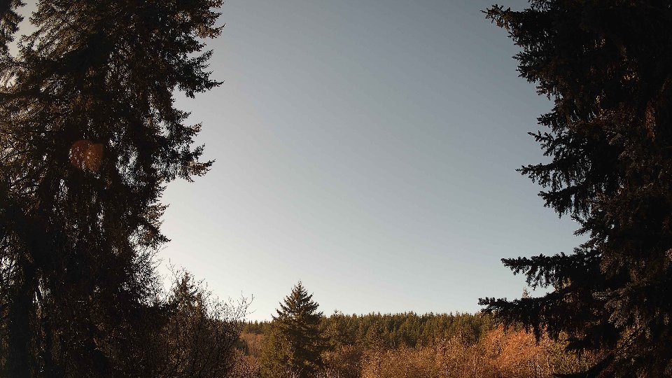Pacific Northwest skyline timelapse frame from Jan 18th, 2026 at 11:30 AM