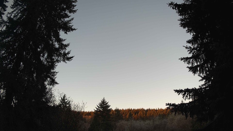 Pacific Northwest skyline timelapse frame from Jan 19th, 2026 at 8:00 AM