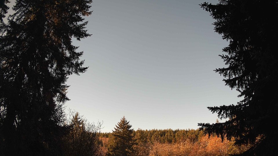 Pacific Northwest skyline timelapse frame from Jan 19th, 2026 at 9:45 AM
