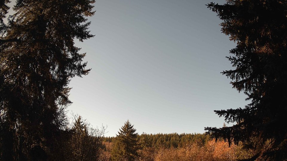 Pacific Northwest skyline timelapse frame from Jan 19th, 2026 at 11:00 AM