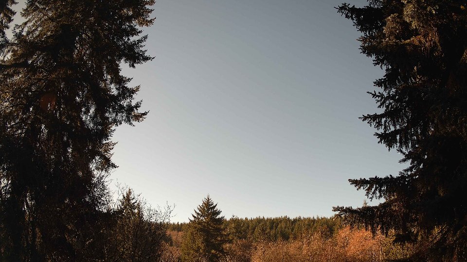 Pacific Northwest skyline timelapse frame from Jan 19th, 2026 at 11:15 AM