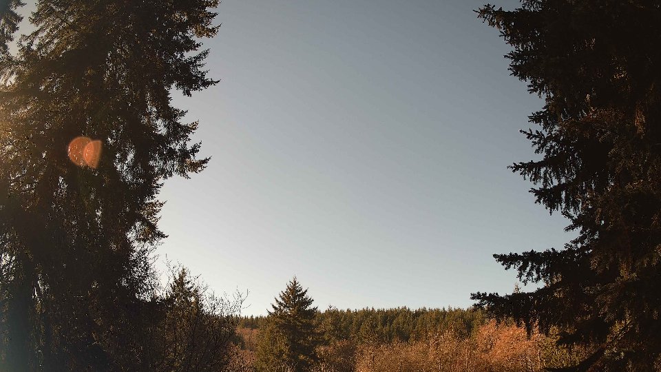 Pacific Northwest skyline timelapse frame from Jan 19th, 2026 at 11:30 AM