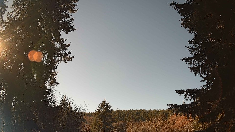 Pacific Northwest skyline timelapse frame from Jan 19th, 2026 at 11:45 AM