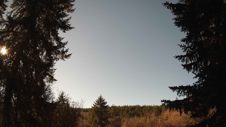Pacific Northwest skyline timelapse frame from Jan 19th, 2026 at 12:15 PM