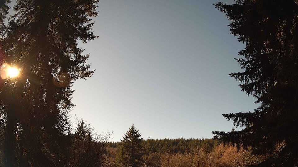 Pacific Northwest skyline timelapse frame from Jan 19th, 2026 at 12:30 PM